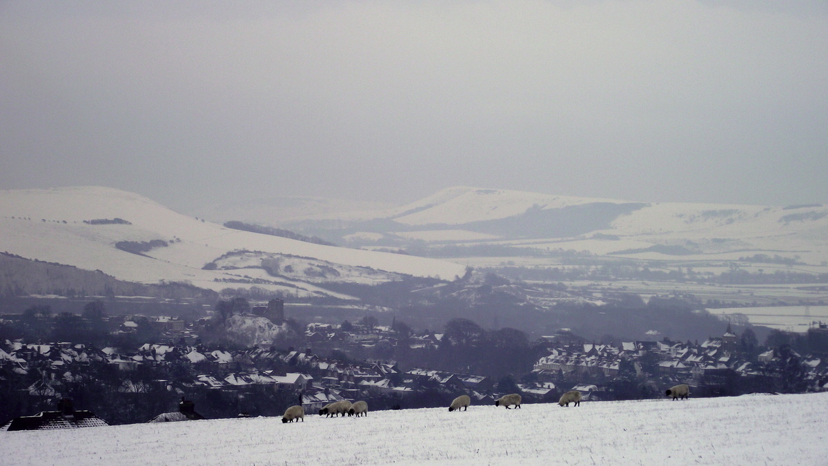 Snow and sheep